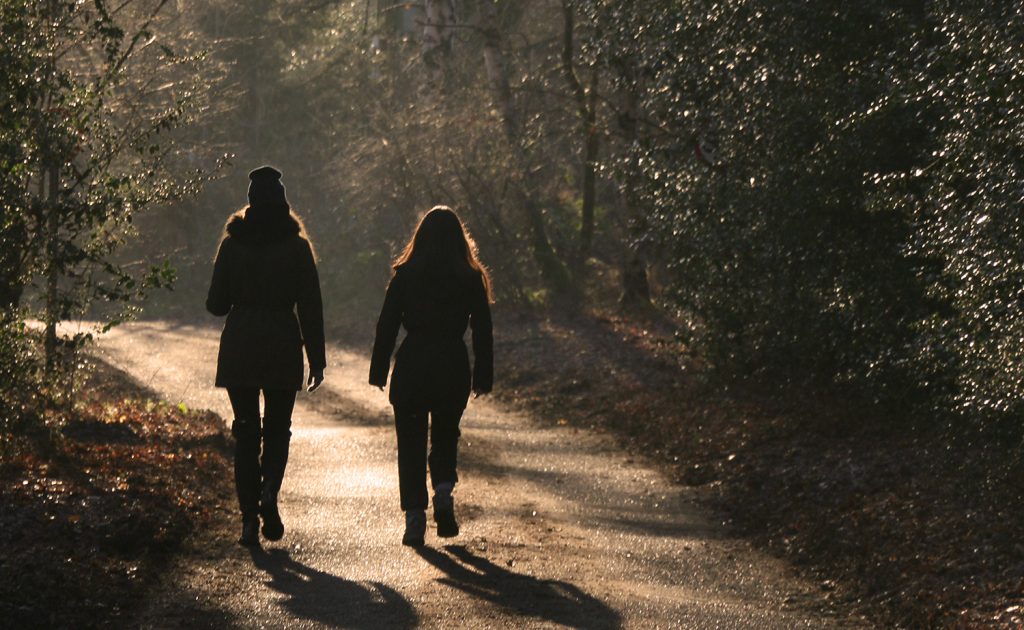 Twee mensen aan het wandelen in het bos