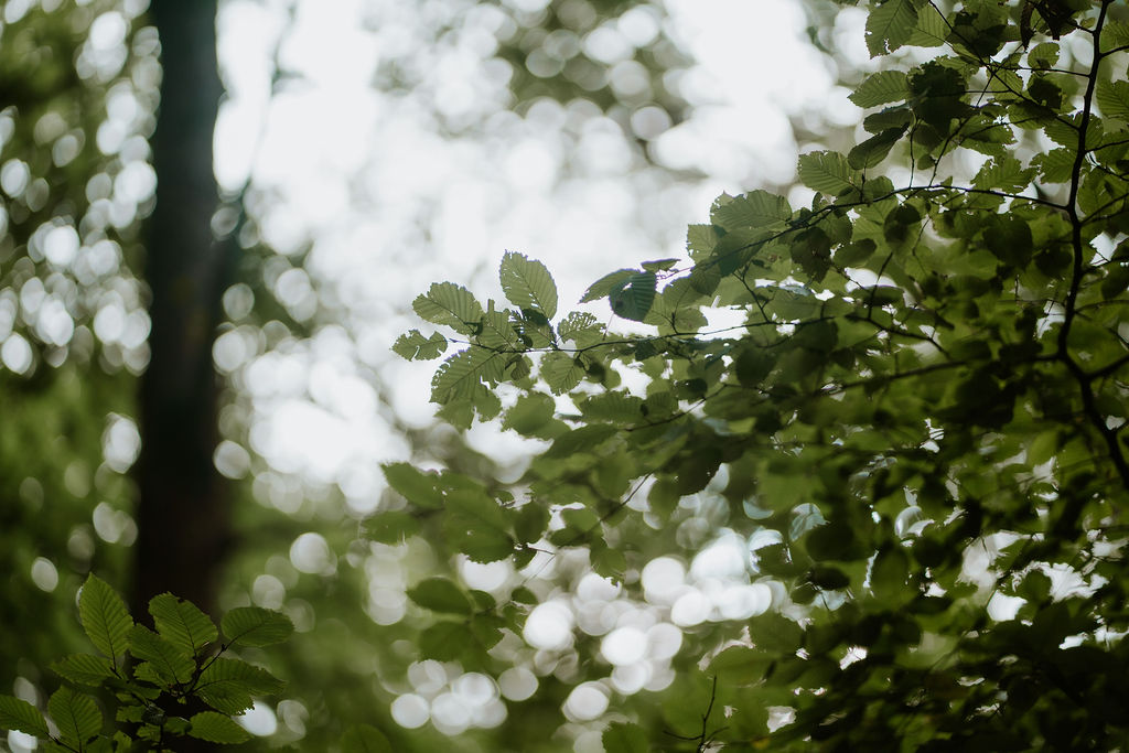 binnentuin zorgvilla